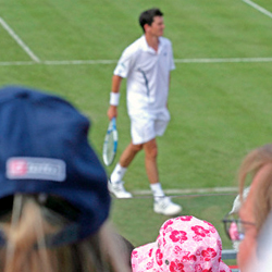 Murray eases through in Montreal 